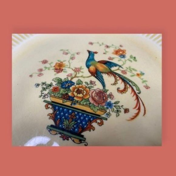 🦚 ANTIQUE IVORY FROM SALEM CHINA DINNER PLATE PHEASANT BIRD ON BRANCH 9" YELLOW - Picture 3 of 5